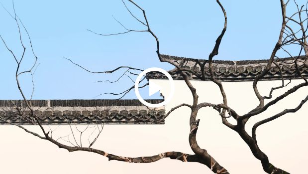 文化中国行｜春花古建两相宜·何园玉兰花一开，扬州便成了“真江南”